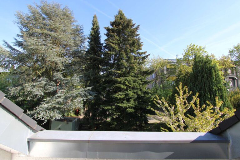 Home DG_Ausblick_Dachterrasse